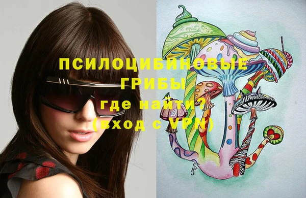 мет Новодвинск