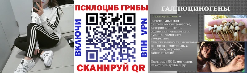 Галлюциногенные грибы Magic Shrooms Таганрог