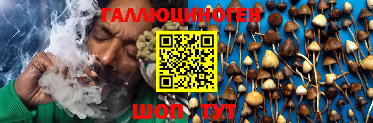 Галлюциногенные грибы мицелий Таганрог